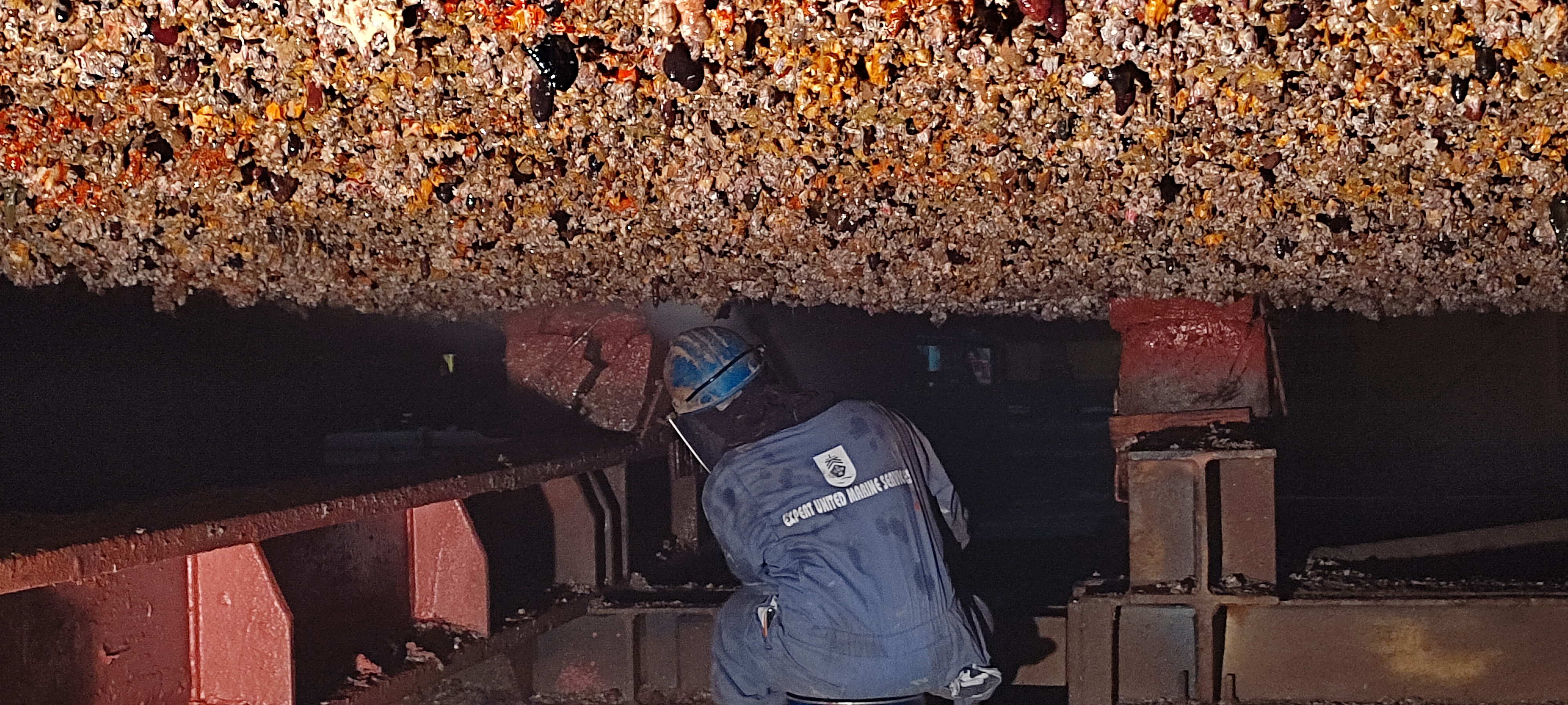 Portfolio image